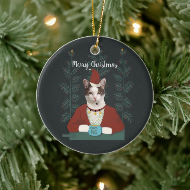 Cat in Santa clothes Christmas Card Ceramic Ornament (Tree)