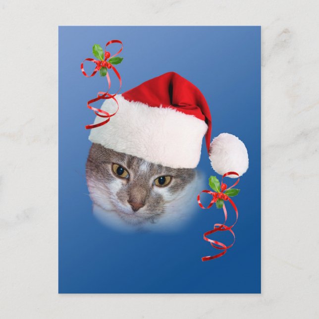 Cat in Santa Hat Postcard (Front)