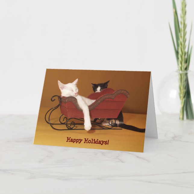 Cat in Sled Humor Christmas Card (Front)
