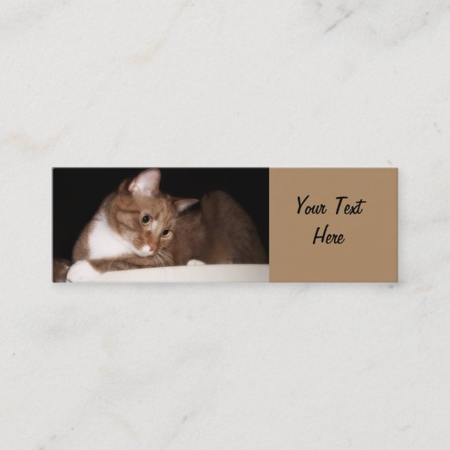 Cat in Soft Light Mini Business Card (Front)
