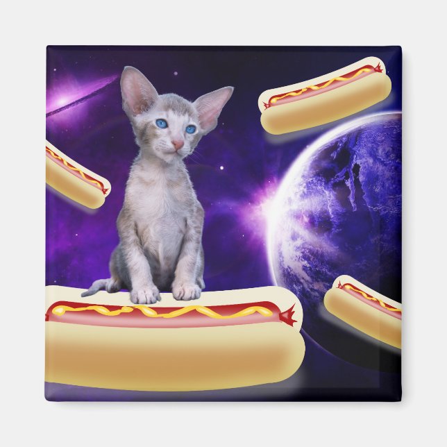 CAT IN SPACE WITH HOT DOGS MAGNETS (Front)