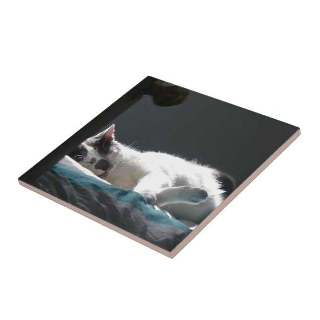 Cat in Sunspot Do Not Disturb Ceramic Tile (Side)