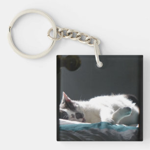 Cat in Sunspot Do Not Disturb Key Ring
