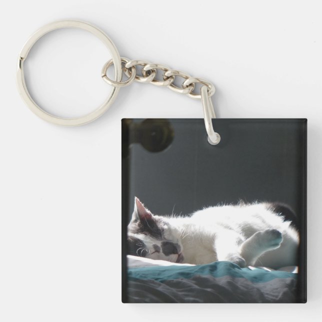 Cat in Sunspot Do Not Disturb Key Ring (Front)