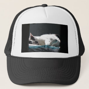 Cat in Sunspot Do Not Disturb Trucker Hat