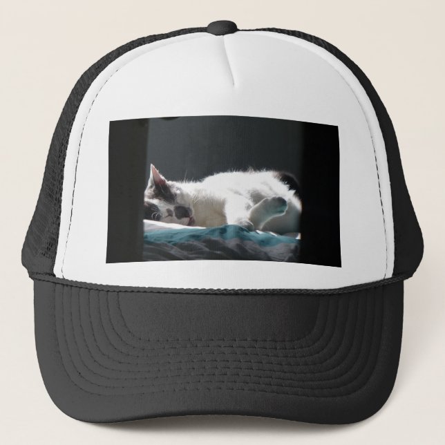 Cat in Sunspot Do Not Disturb Trucker Hat (Front)
