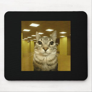 Cat In The Backrooms Liminal Space Funny Cat Meme Mouse Pad