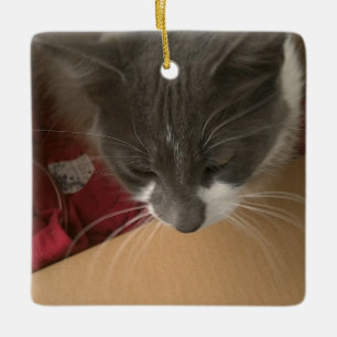 Cat in the Box Ceramic Ornament