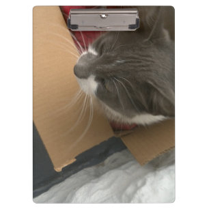 Cat in the Box Clipboard