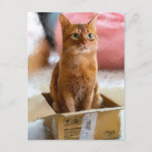 Cat In The Box Cute Kitten Digital Art Postcard