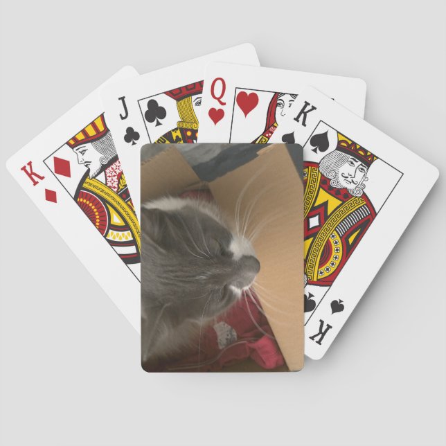 Cat in the Box Playing Cards (Back)