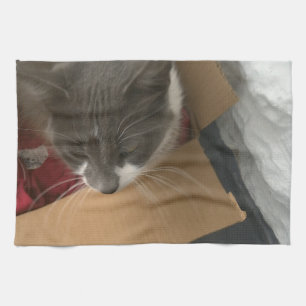 Cat in the Box Tea Towel