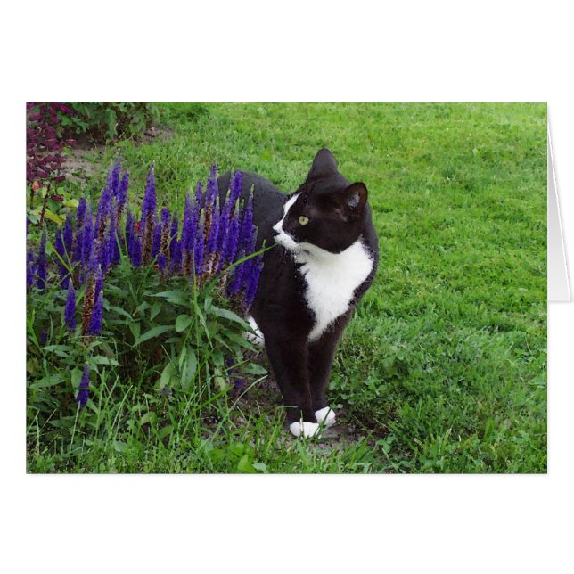 Cat in the Garden (Front Horizontal)