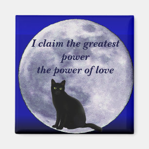 Cat in the Moon_ Magnet