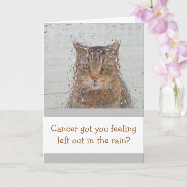 Cat In The Rain Cancer Support Card (Orchid)