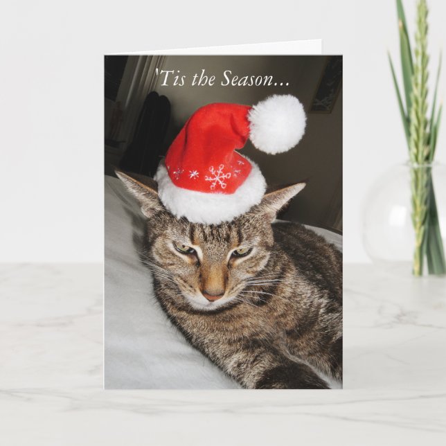 Cat in the Santa Hat Funny Holiday Card (Front)