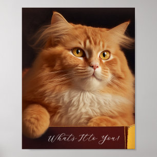 Cat In The Shoe Box - Sarcastic Cat Poster