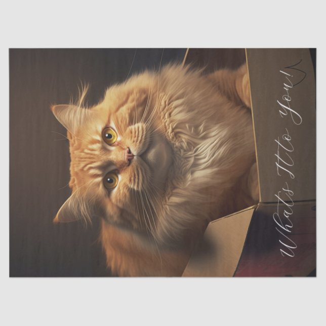 Cat In The Shoe Box - Sarcastic Cat Tissue Paper (Front)