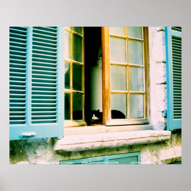 Cat in the Window/JSKFR003 Poster (Front)