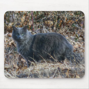 Cat in the Woods Mouse Pad