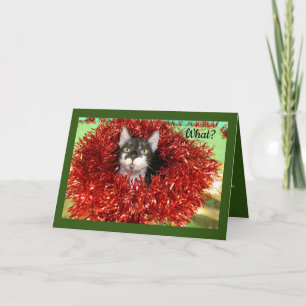 Cat In Tinsel Holiday Card
