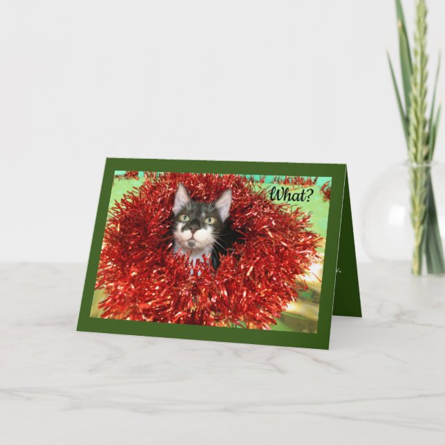 Cat In Tinsel Holiday Card (Front)