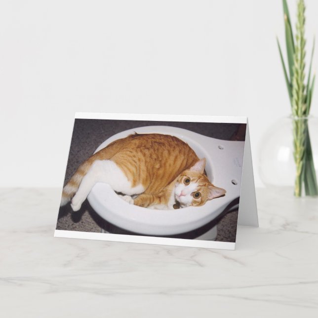 Cat in toilet card (Front)