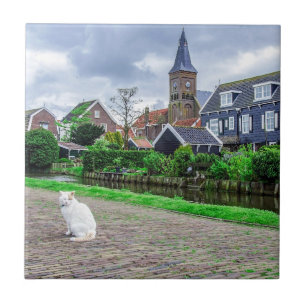 Cat in traditional fishing village ceramic tile