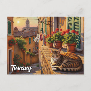 Cat in Tuscany Italy Postcard