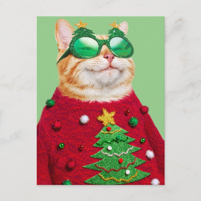 Cat in Ugly Christmas Sweater Invitation Postcard (Front)