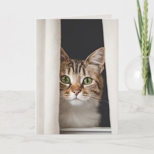 Cat In Window For Miss You Card