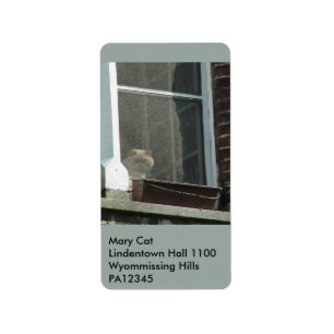 Cat in Window Label