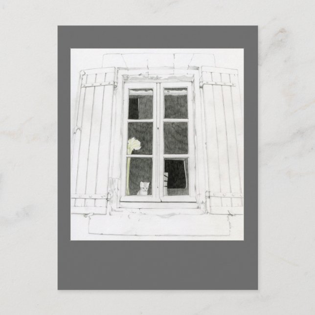 Cat in Window Postcard (Front)