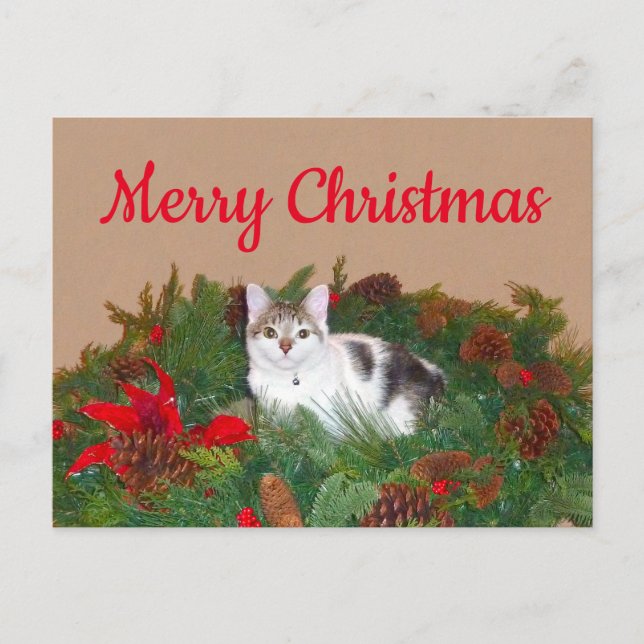 Cat in wreath Christmas Card (Front)