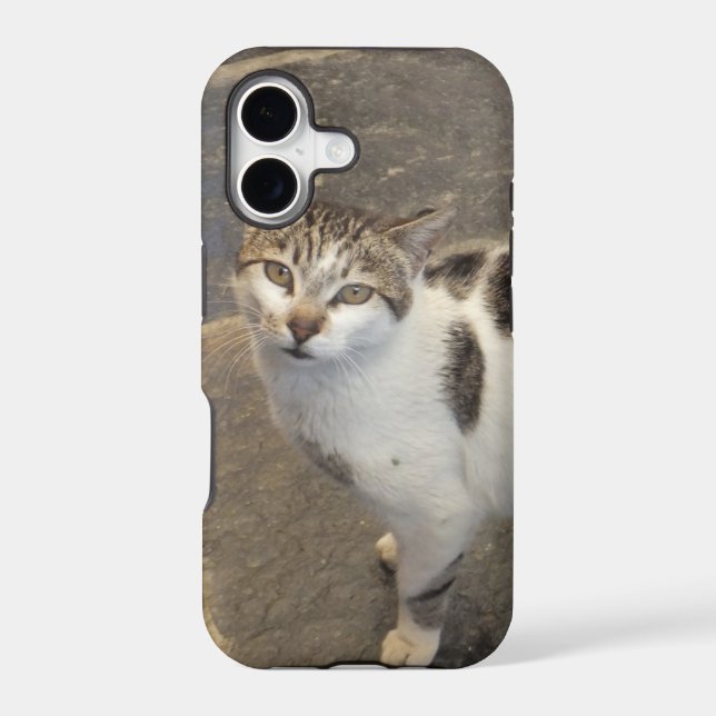 Cat iPhone 5 case-mate (Back)