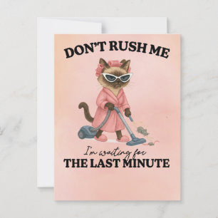 Cat is cleaning house postcard