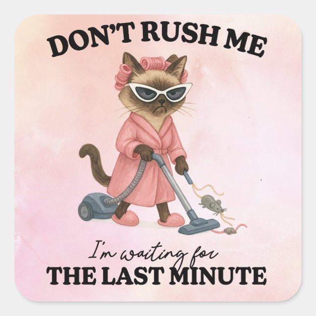 Cat is cleaning house square sticker (Front)