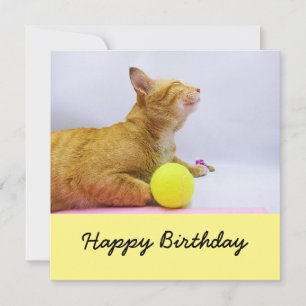 Cat is playing tennis ball birthday card