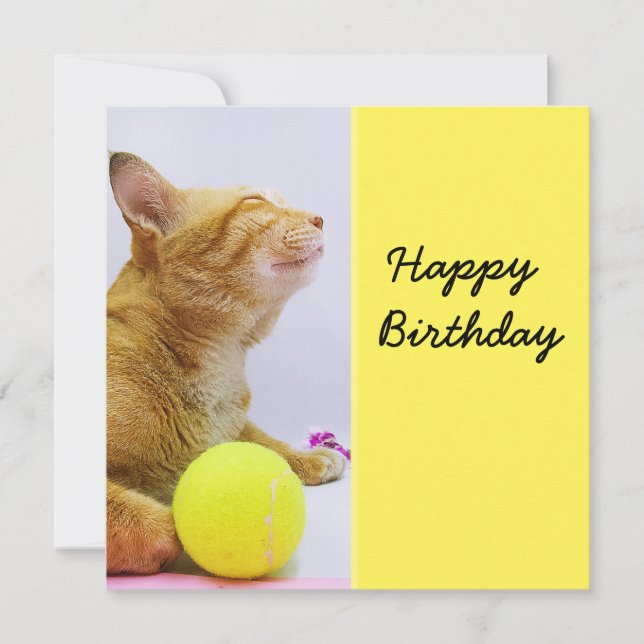 Cat is playing tennis ball birthday card (Front)