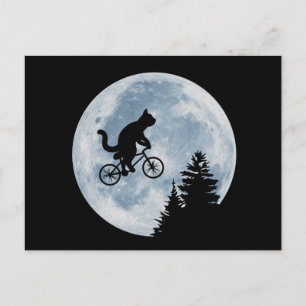 Cat is riding bicycle on the moon background. postcard