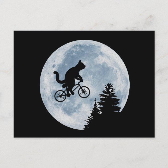 Cat is riding bicycle on the moon background. postcard (Front)