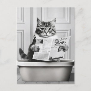 Cat is sitting on the Toilet, cat reading a news Postcard