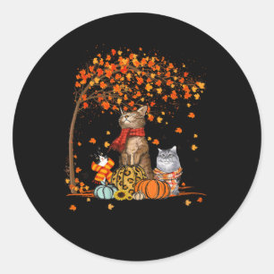 Cat It’s Fall Y’all Pumpkins Autumn Halloween Cat Classic Round Sticker