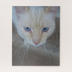 Cat Jigsaw Puzzle