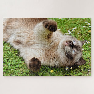 Cat Jigsaw Puzzle