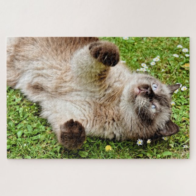 Cat Jigsaw Puzzle (Horizontal)