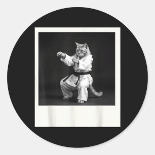 Cat Jiu Jitsu Karate Taekwondo Funny Graphic Classic Round Sticker
