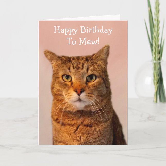 Cat Jokes Funny Birthday Card (Front)