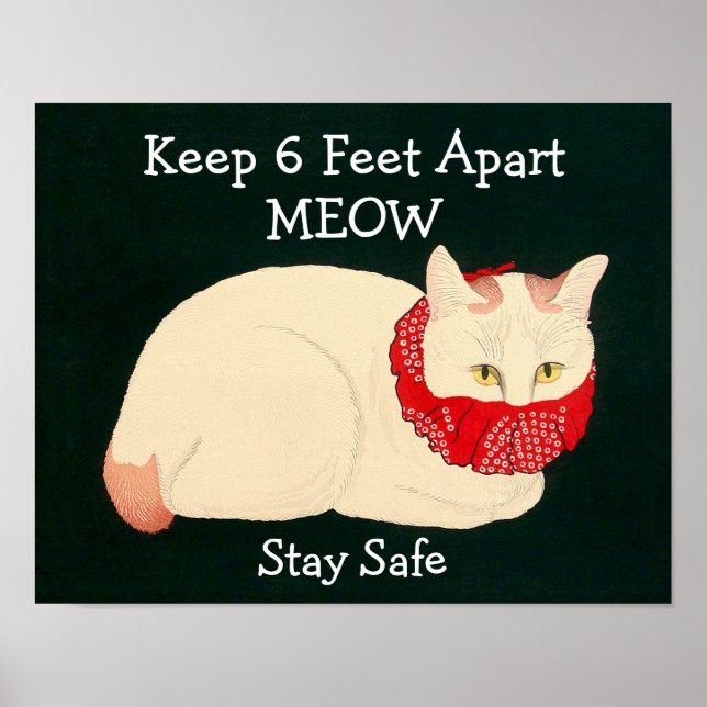 Cat Keeping 6 Feet Apart Poster (Front)