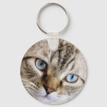 CAT KEY